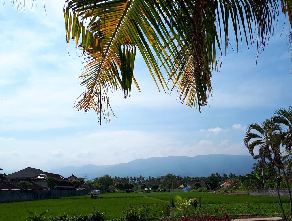 Gede Homestay ロヴィーナ エクステリア 写真